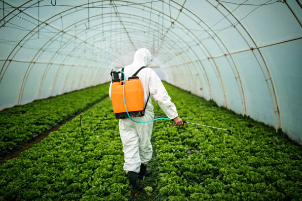 Best Pest Prevention Services  in Liberty Triangle, FL