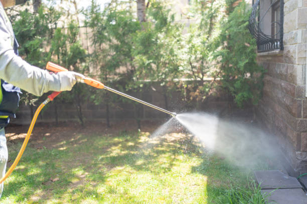 Best Flea Control Services  in Liberty Triangle, FL