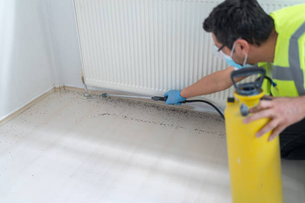 Professional Pest Control in Liberty Triangle, FL